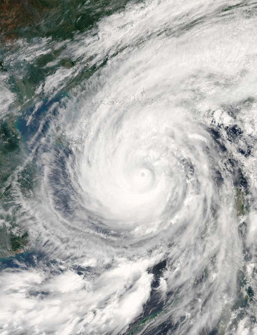 Tropical Storm Chanchu Wall Decal Design 1