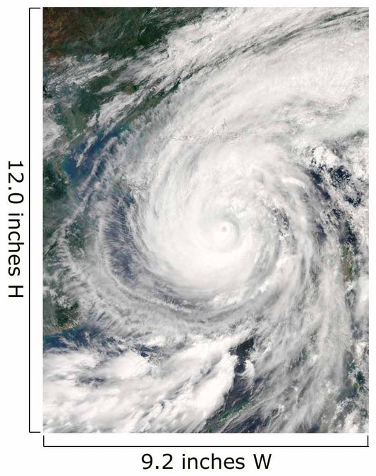 Tropical Storm Chanchu Wall Decal Design 1