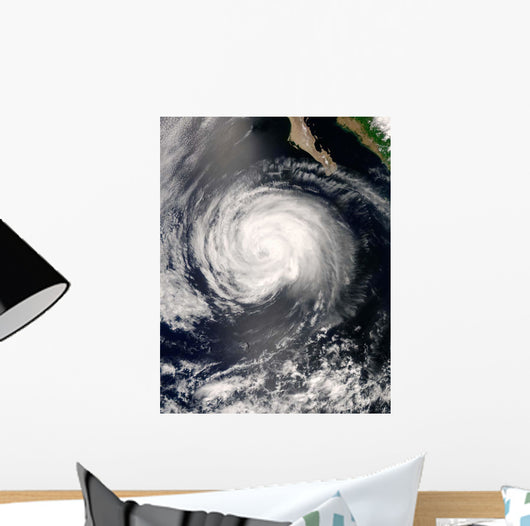 Hurricane Fausto Wall Decal