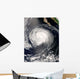 Hurricane Fausto Wall Decal