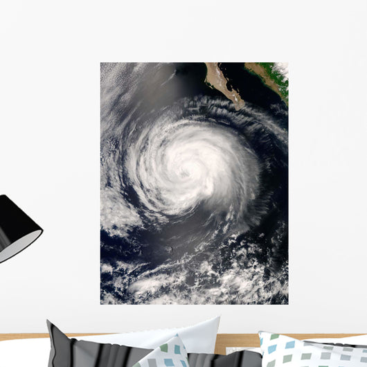 Hurricane Fausto Wall Decal