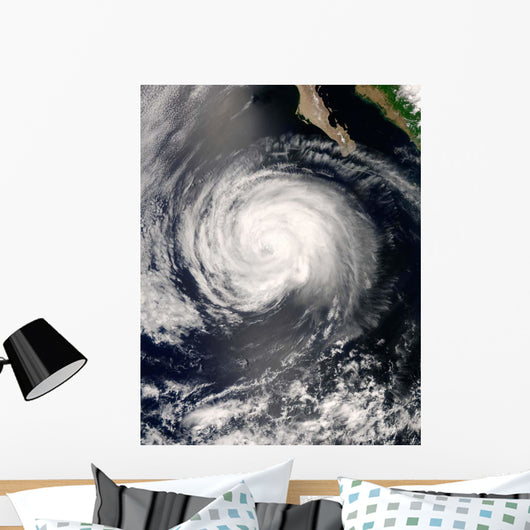 Hurricane Fausto Wall Decal