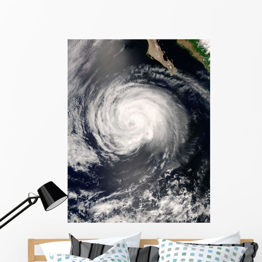 Hurricane Fausto Wall Decal