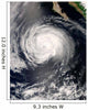 Hurricane Fausto Wall Decal