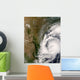 Tropical Storm Dolly Wall Decal