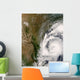 Tropical Storm Dolly Wall Decal