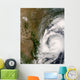 Tropical Storm Dolly Wall Decal