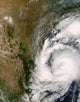 Tropical Storm Dolly Wall Decal