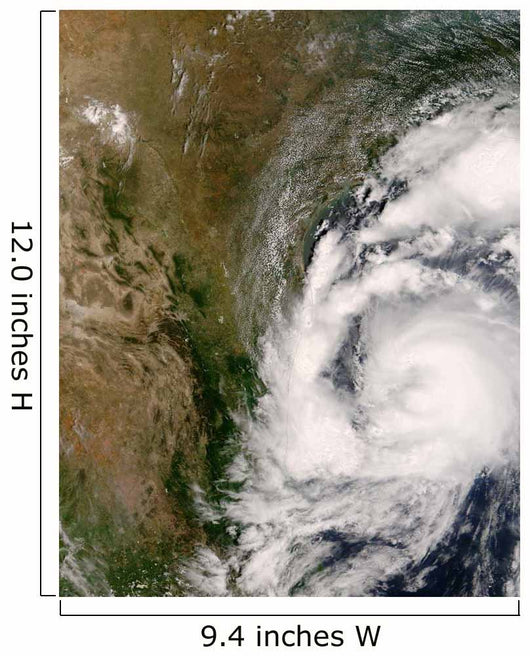 Tropical Storm Dolly Wall Decal