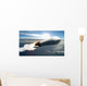 Artist's Concept Cargo Launch Wall Decal