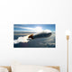 Artist's Concept Cargo Launch Wall Decal