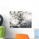 Typhoons Mitag and Hagibis Wall Decal