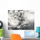 Typhoons Mitag and Hagibis Wall Decal