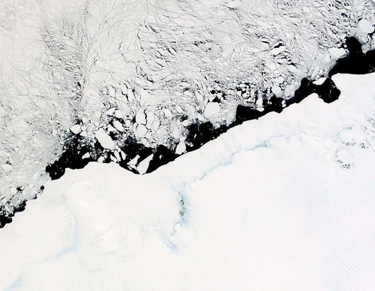 East Antarctica S Prince Wall Decal