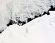 East Antarctica S Prince Wall Decal