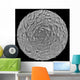 Lunar Mosaic South Polar Wall Decal