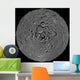 Lunar Mosaic North Polar Wall Decal