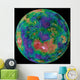 Venus Centered North Pole Wall Decal