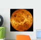 Global Surface Venus Wall Decal