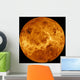 Global Surface Venus Wall Decal