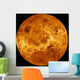 Global Surface Venus Wall Decal