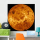 Global Surface Venus Wall Decal