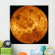 Global Surface Venus Wall Decal
