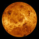 Global Surface Venus Wall Decal