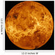 Global Surface Venus Wall Decal