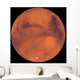 Mars Wall Decal Design 7