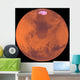Mars Wall Decal Design 6