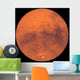 Mars Wall Decal Design 5