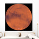 Mars Wall Decal Design 4