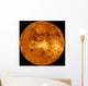 Venus Wall Decal Design 3