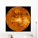 Venus Wall Decal Design 3