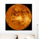 Venus Wall Decal Design 3
