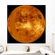 Venus Wall Decal Design 3