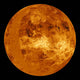 Venus Wall Decal Design 3
