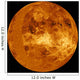 Venus Wall Decal Design 3