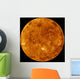 Venus Wall Decal Design 2