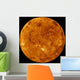 Venus Wall Decal Design 2
