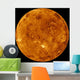 Venus Wall Decal Design 2