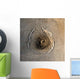 Largest Known Volcano Solar Wall Decal