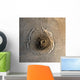 Largest Known Volcano Solar Wall Decal