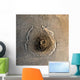 Largest Known Volcano Solar Wall Decal