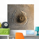 Largest Known Volcano Solar Wall Decal