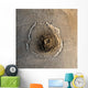 Largest Known Volcano Solar Wall Decal