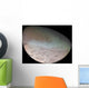 Triton Largest Moon Planet Wall Decal