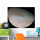 Triton Largest Moon Planet Wall Decal