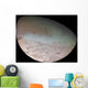 Triton Largest Moon Planet Wall Decal